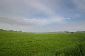 内蒙草原牧场