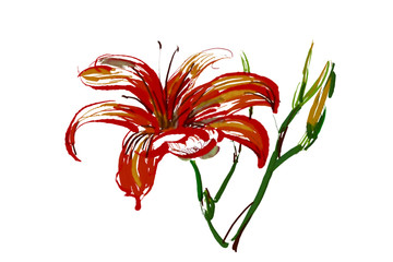 紅色花