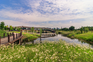 眉山东坡湖城市湿地公园