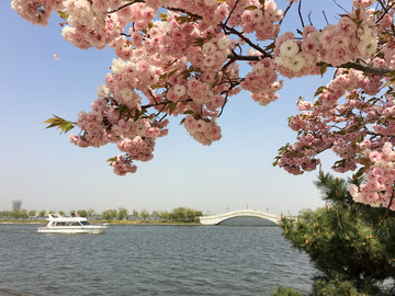 山东青岛胶州少海国家湿地公园