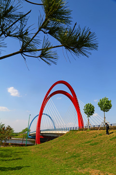 山东临沂莒南鸡龙河生态湿地公园