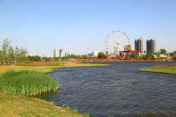 山东临沂莒南鸡龙河生态湿地公园