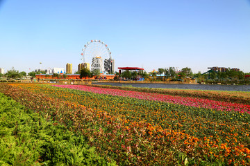 山东临沂莒南鸡龙河生态湿地公园