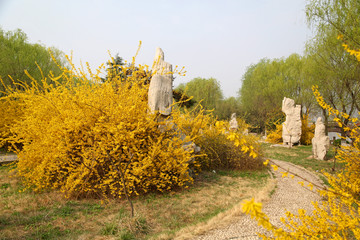 山东临沂莒南天佛风景名胜区