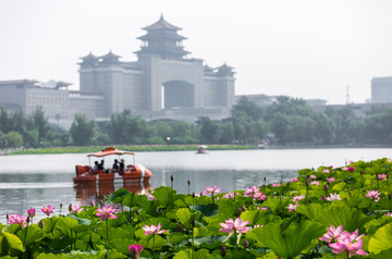 莲花池公园