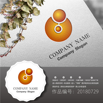 標(biāo)志設(shè)計(jì)LOGO
