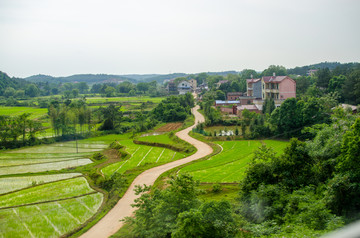 田园风光