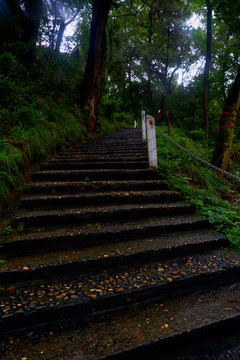 遂宁风光灵泉寺