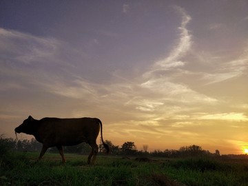 晚霞夕阳真牛