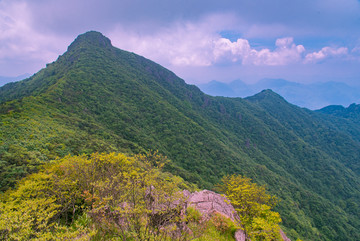 武夷山自然保护区