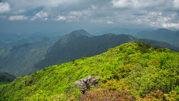 武夷山自然保护区