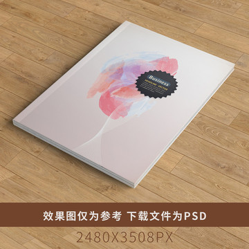 高端畫(huà)冊(cè)書(shū)籍標(biāo)書(shū)招商手冊(cè)封面