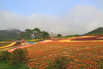 山东青岛西海岸生态观光园