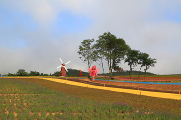 山东青岛西海岸生态观光园