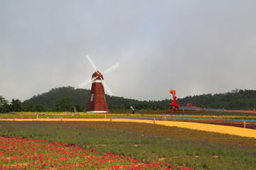 山东青岛西海岸生态观光园