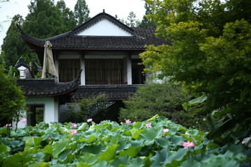 曲院风荷景区