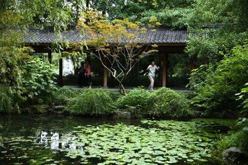 曲院風(fēng)荷景區(qū)