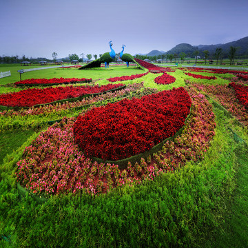 自然风景