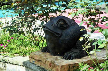 青蛙雕像设计