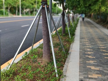 绿化带人行步道