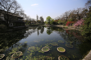 南京莫愁湖