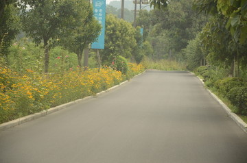 乡村道路