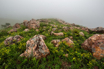 风景装饰画