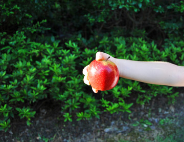 手拿苹果
