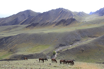 天山山区