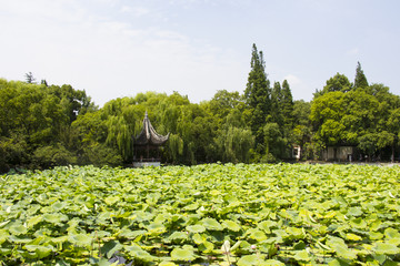 小莲庄