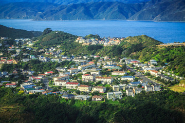 新西兰城市环境•建筑景观