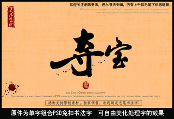 奪寶