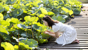 赏荷的女人