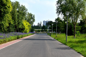 公路