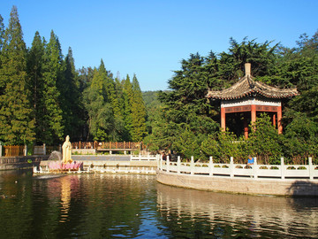 清晨山东青岛湛山寺