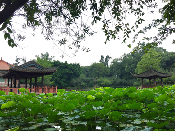 望丛祠