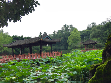 望丛祠