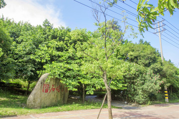 晋江溜石塔公园