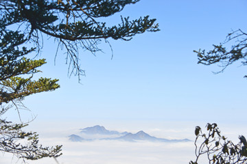 原始森林和远山云海