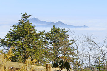 原始森林和远山云海