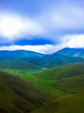 高原牧场