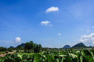 夏日田园风光