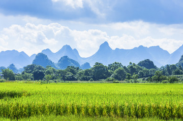 田园山水风光