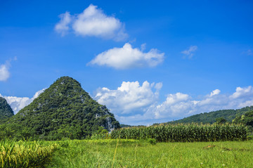 夏日田园风光