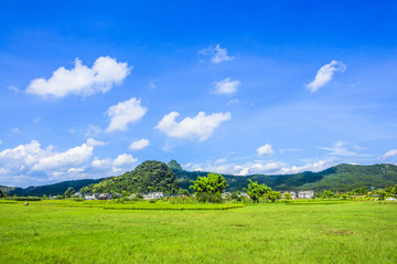 夏日田园风光