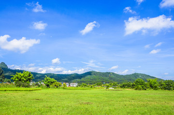 夏日田园风光