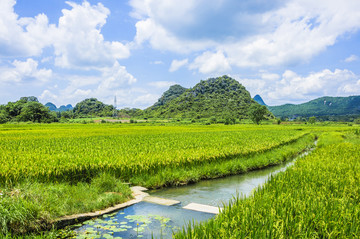 田园风光