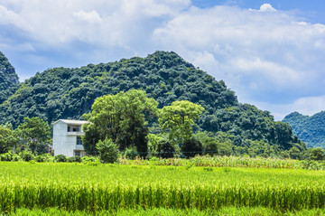 田园风光