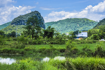 夏日田园风光