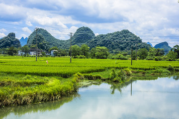 夏日田园风光